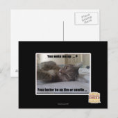 Carte Postale Tu m'as réveillé (Devant / Derrière)