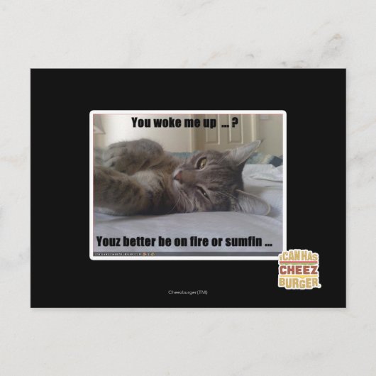 Carte Postale Tu m'as réveillé (Devant)