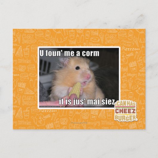 Carte Postale Tu m'as trouvé du maïs (Devant)