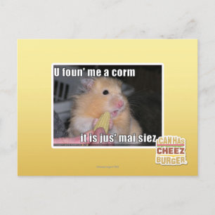 Carte Postale Tu m'as trouvé du maïs