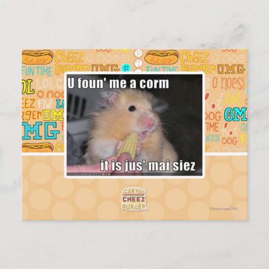 Carte Postale Tu m'as trouvé du maïs (Devant)