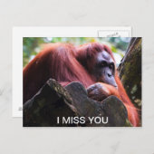 Carte Postale Tu me manques (Devant / Derrière)