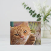 CARTE POSTALE TU ME MANQUES (Debout devant)