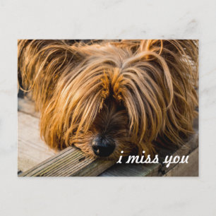 Carte Postale Tu me manques