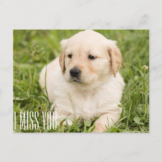 Carte Postale Tu me manques (Devant)