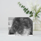 Carte Postale Tu me manques (Debout devant)