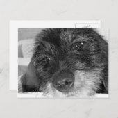 Carte Postale Tu me manques (Devant / Derrière)