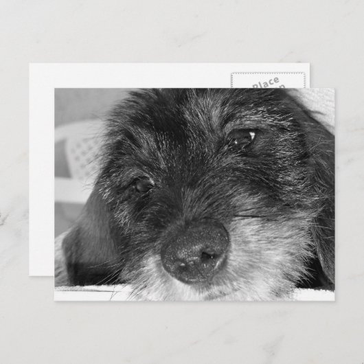 Carte Postale Tu me manques (Devant / Derrière)