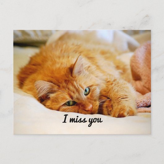 Carte Postale Tu Me Manques, Chat À Coon Orange Doux (Devant)
