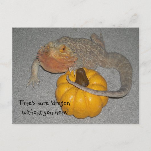 Carte Postale Tu me manques Dragon barbu (Devant)
