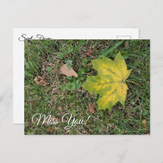Carte Postale Tu me manques, feuille d'automne isolée (Devant / Derrière)