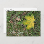 Carte Postale Tu me manques, feuille d'automne solitaire  (Devant / Derrière)