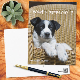 Carte Postale Tu Me Manques Mignon Chien Noir et Blanc Photo Per