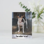 Carte Postale Tu me parles ? (Debout devant)