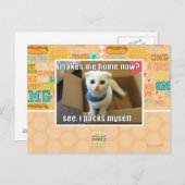 Carte Postale Tu me ramènes maintenant ? (Devant / Derrière)