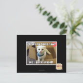 Carte Postale Tu me ramènes maintenant ? (Debout devant)