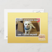 Carte Postale Tu me ramènes maintenant ? (Devant / Derrière)