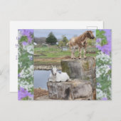 Carte Postale "Tu vas me plaisanter !" (Devant / Derrière)