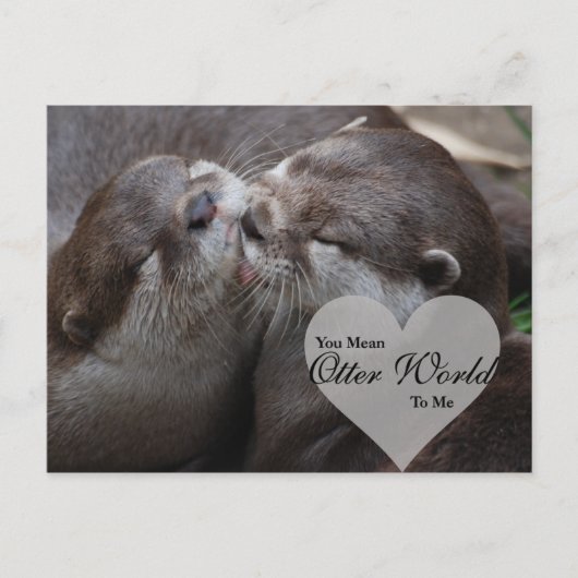 Carte Postale Tu Veux Dire Qu'Un Monde D'Otter Pour Moi Otters A (Devant)