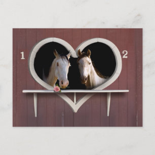 Carte Postale Tu Veux Faire Du Cheval ?