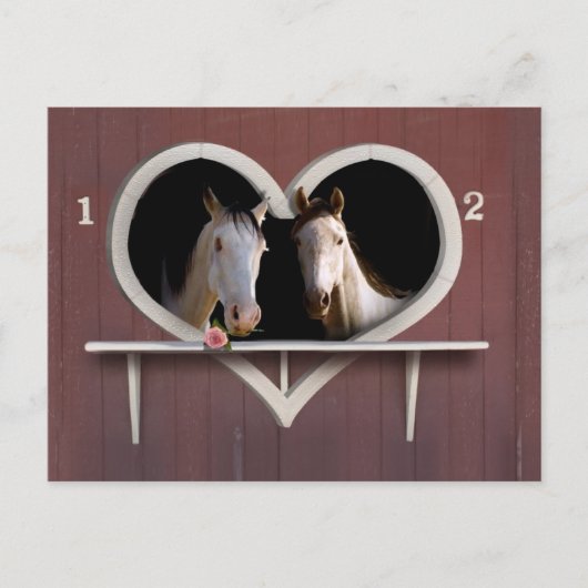 Carte Postale Tu Veux Faire Du Cheval ? (Devant)