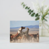 Carte Postale Tu Veux Un Morceau De Moi ? (Debout devant)