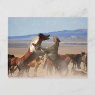 Carte Postale Tu Veux Un Morceau De Moi ?