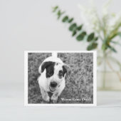 Carte Postale Tu Veux Venir ? (Debout devant)