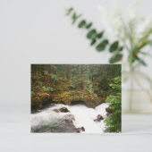 Carte Postale Tube de la rivière Rogue (Debout devant)