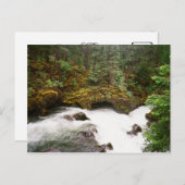 Carte Postale Tube de la rivière Rogue (Devant / Derrière)