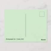 Carte postale Tucson, Az (Dos)