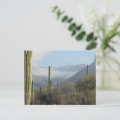 Carte postale Tucson Desert (Debout devant)