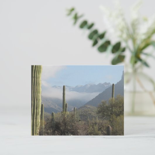 Carte postale Tucson Desert (Debout devant)