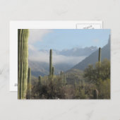 Carte postale Tucson Desert (Devant / Derrière)