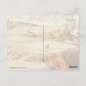 Carte Postale Tueur (Dos)