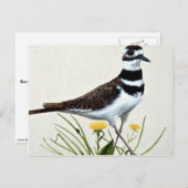 Carte Postale Tueur (Devant / Derrière)