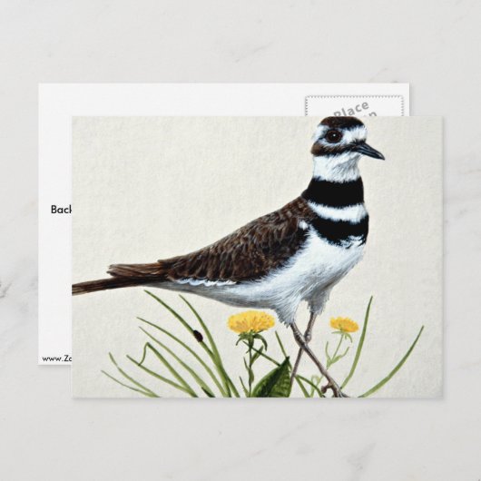 Carte Postale Tueur (Devant / Derrière)