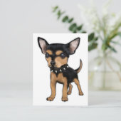 Carte Postale Tueur Chihuahua (Debout devant)