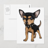 Carte Postale Tueur Chihuahua (Devant / Derrière)