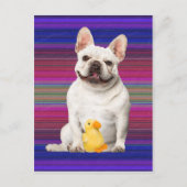 Carte postale "Tuffy McTuggs" (Devant)
