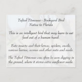 Carte Postale Tufted Titmouse - Learning Postcard - Floride (Dos)