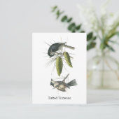 Carte Postale Tufted Titsouris, John Audubon (Debout devant)