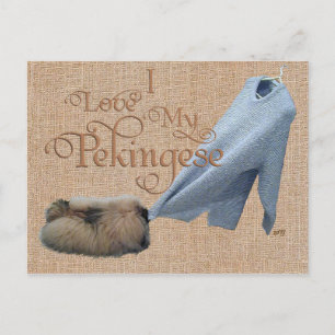 Carte Postale Tug-O-War avec un Pékinois