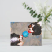 Carte postale Tug of War Cavalier KC Spaniels (Debout devant)