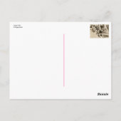 Carte Postale Tug of War Photo Vintage (Dos)