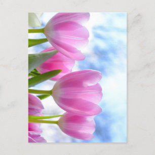 Carte Postale Tulip