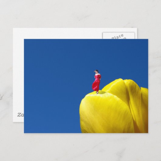 Carte Postale Tulip (Devant / Derrière)