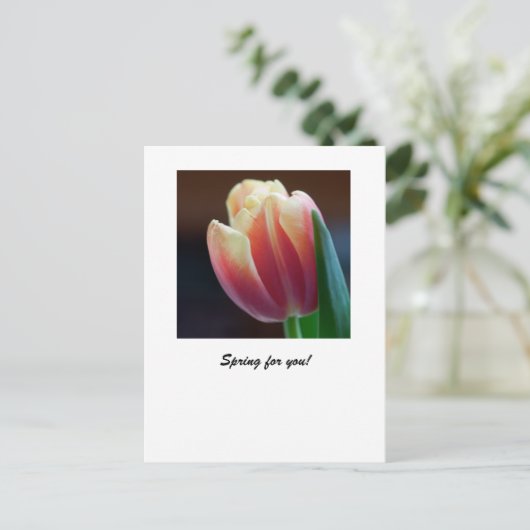 Carte Postale Tulip (Debout devant)