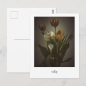 Carte Postale "tulip" de Heidi Rondak Photographie (Devant / Derrière)