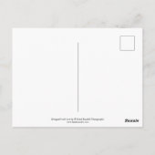 Carte Postale "tulip" de Heidi Rondak Photographie (Dos)